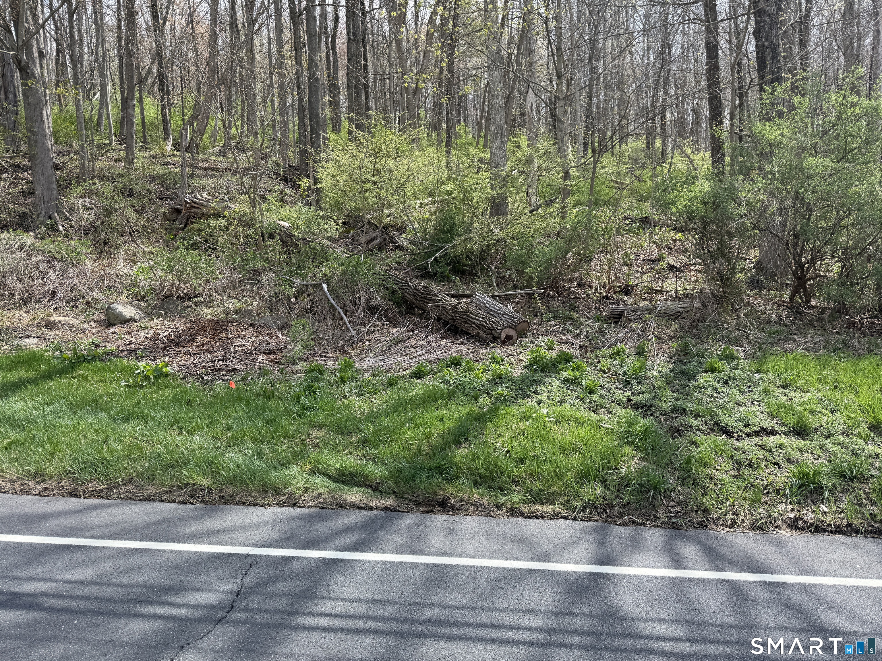 Torrington Road