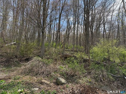 Tiny photo for Torrington Road, Litchfield, CT 06759 (MLS # 24168723)