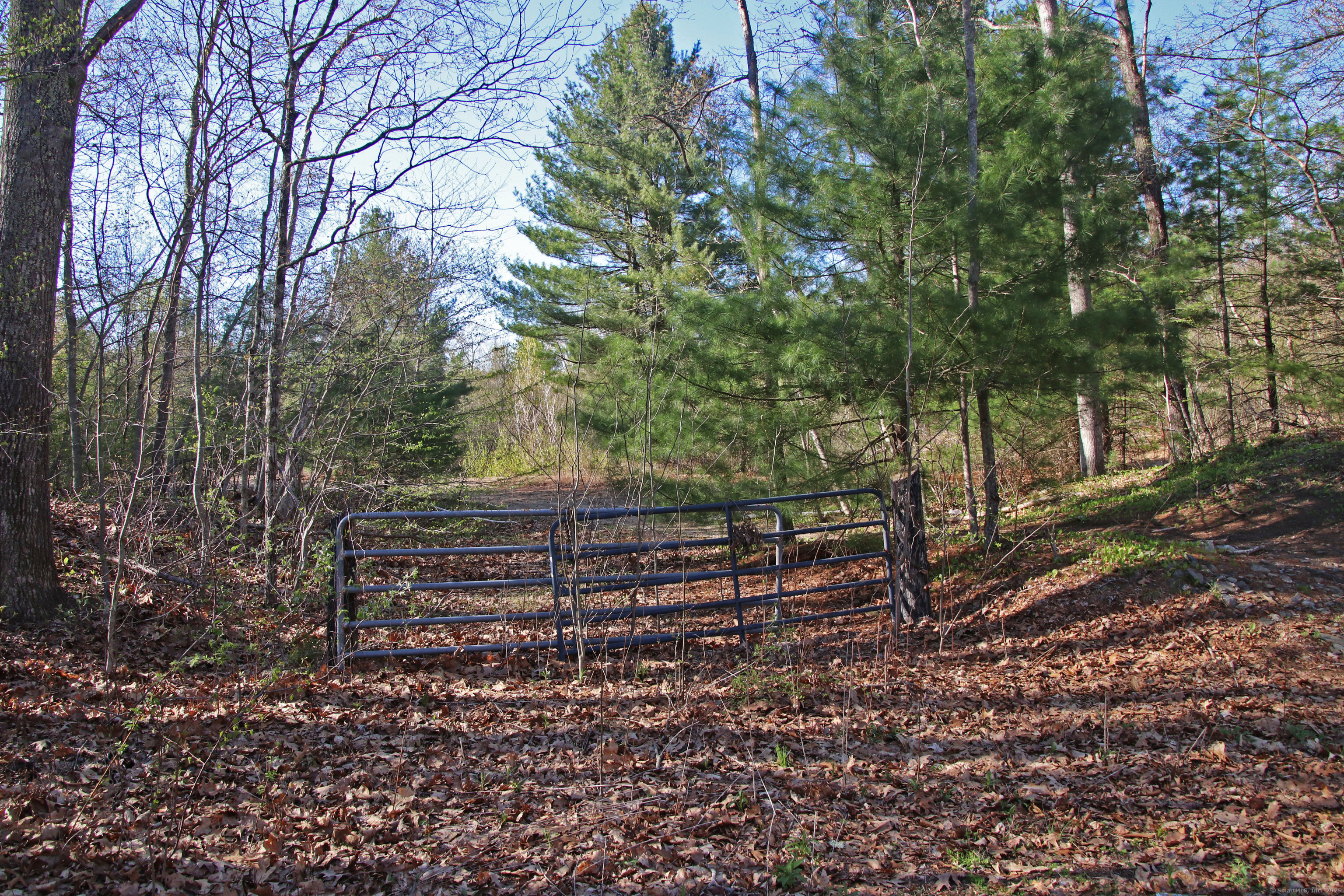 Clarke Road, Lebanon, Connecticut image 6