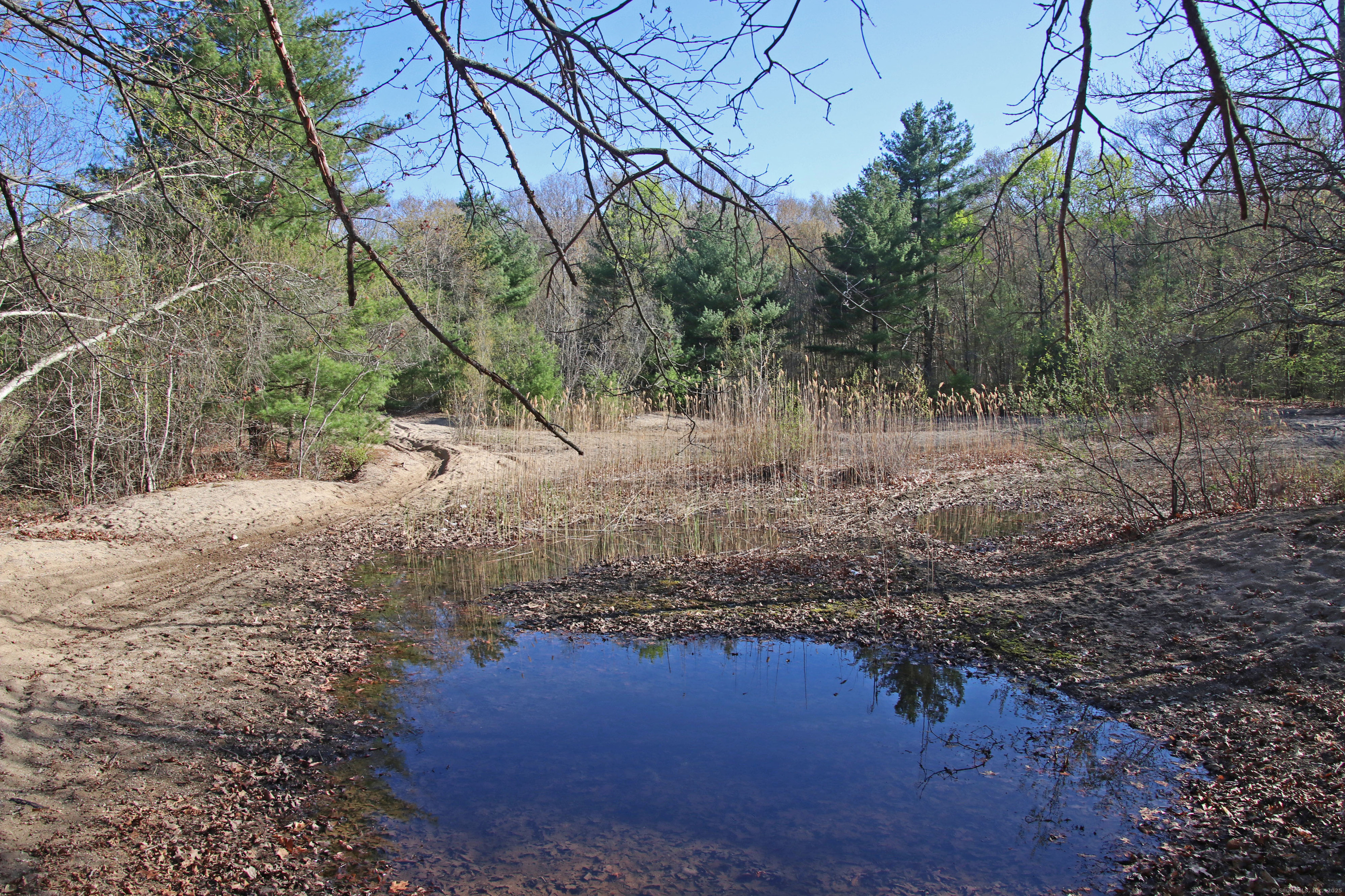 Clarke Road, Lebanon, Connecticut image 8