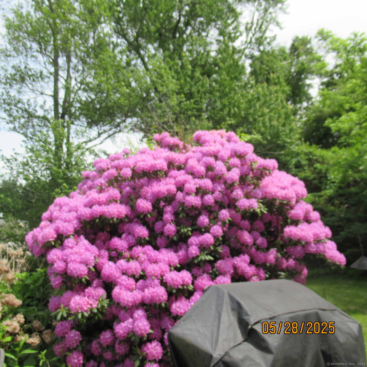 89 Emily Lane, Bristol, Connecticut image 29