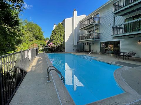 73 Riverside Avenue 3B Stamford CT 06905