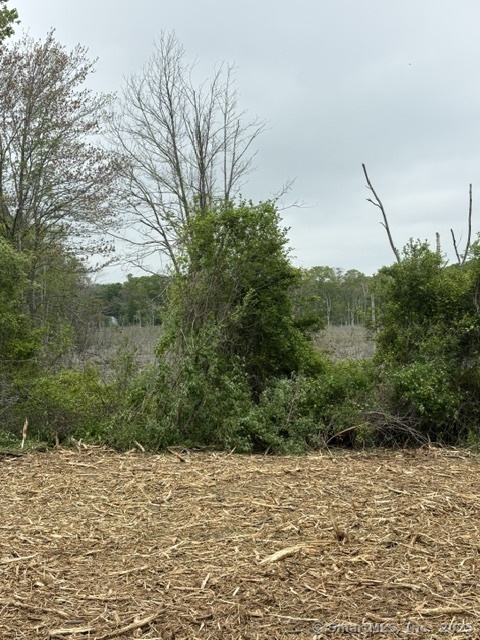 18 Fox Run Lane, Killingworth, Connecticut image 7