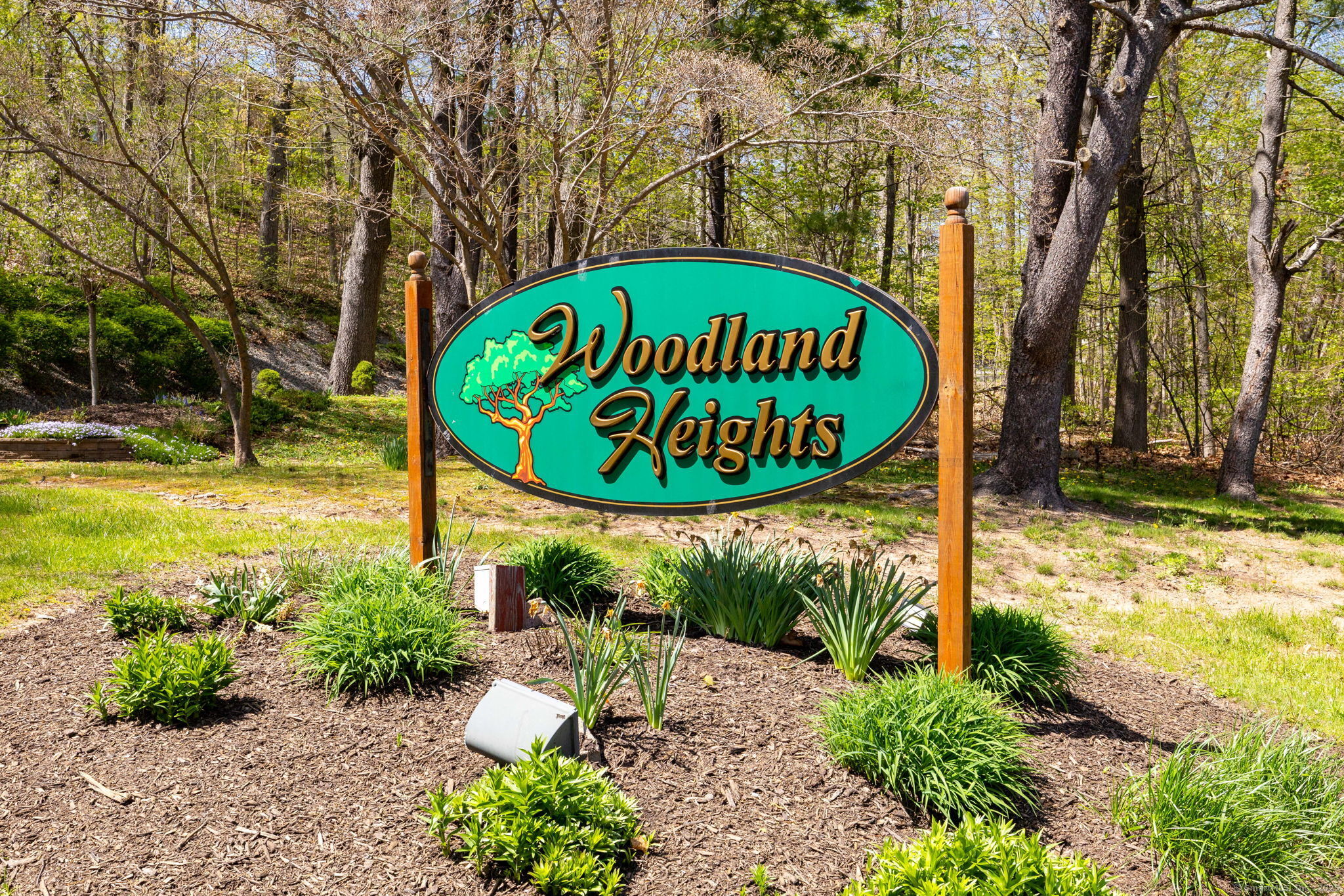 172 Woodland Drive #172, Cromwell, Connecticut image 37