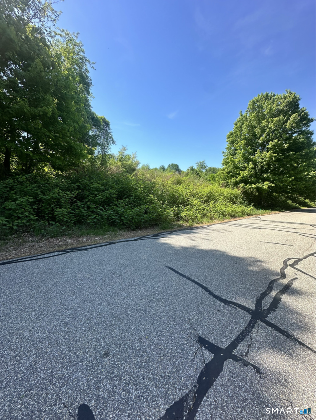 MaxFelix Drive