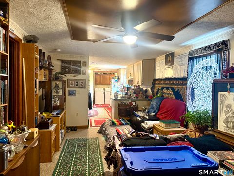 Tiny photo for 31 Williams Street, Griswold, CT 06351 (MLS # 24155130)