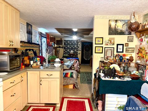 Tiny photo for 31 Williams Street, Griswold, CT 06351 (MLS # 24155130)