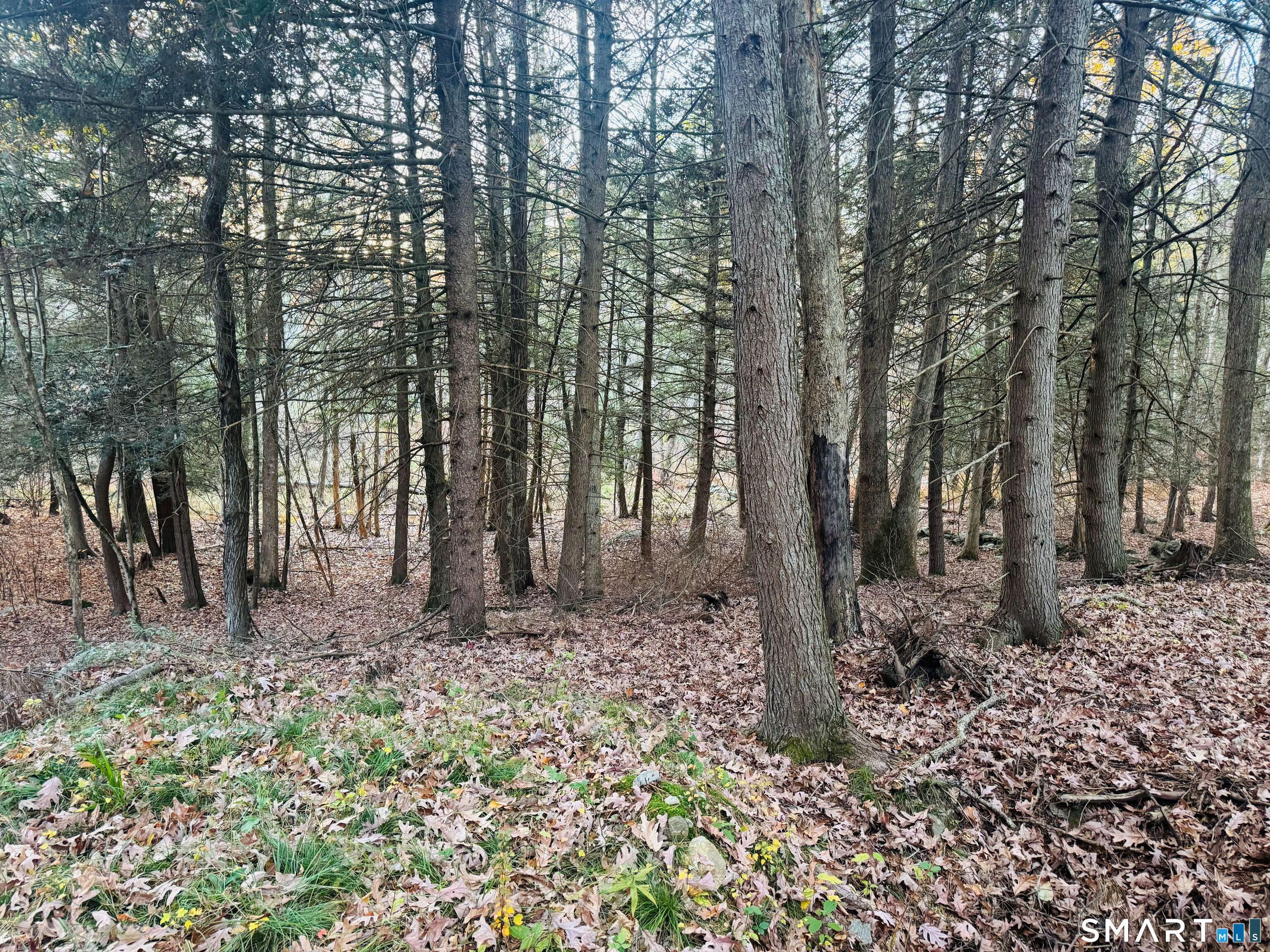 0 Ryler Court
