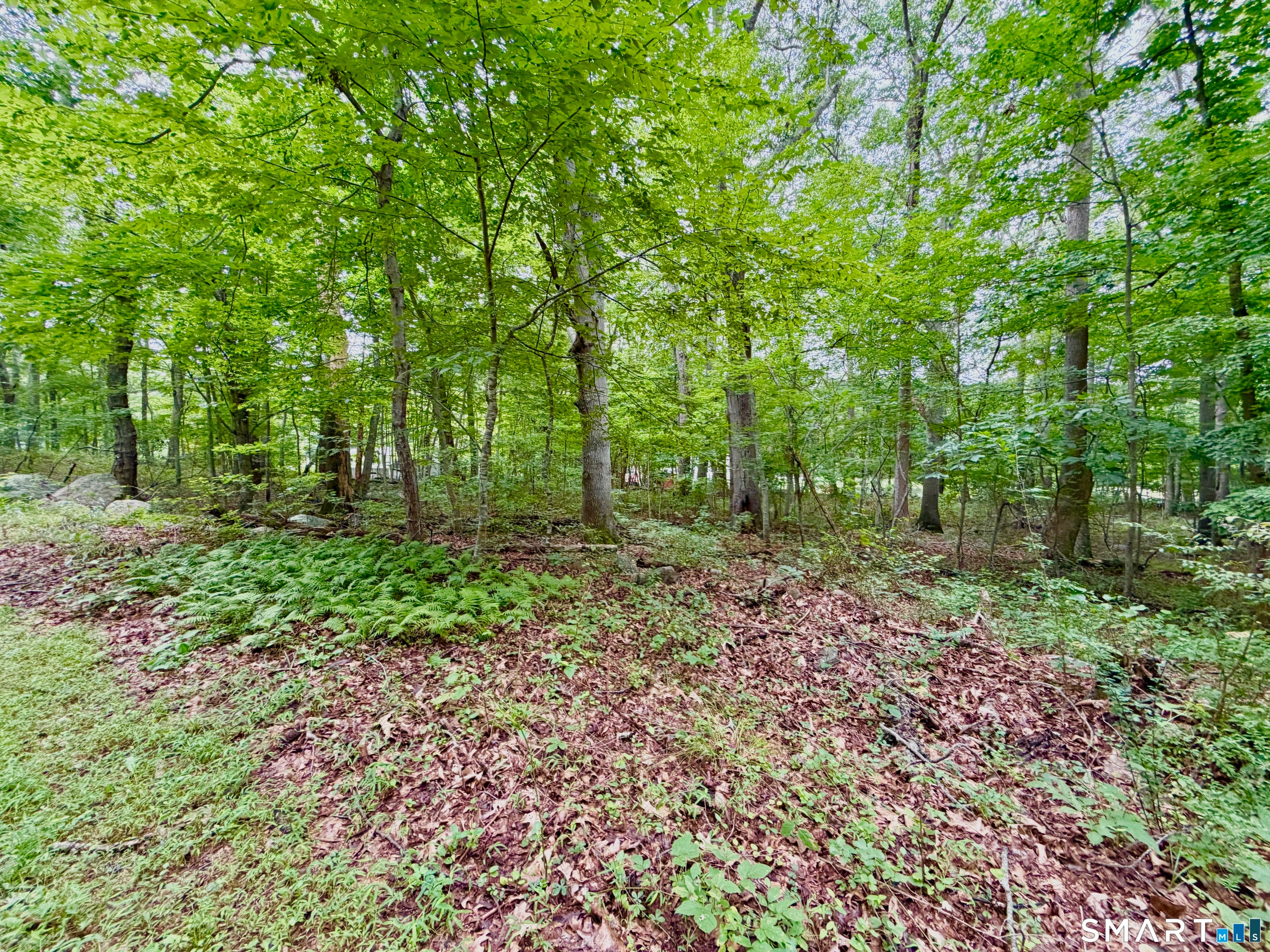 228-B Mile Creek Road