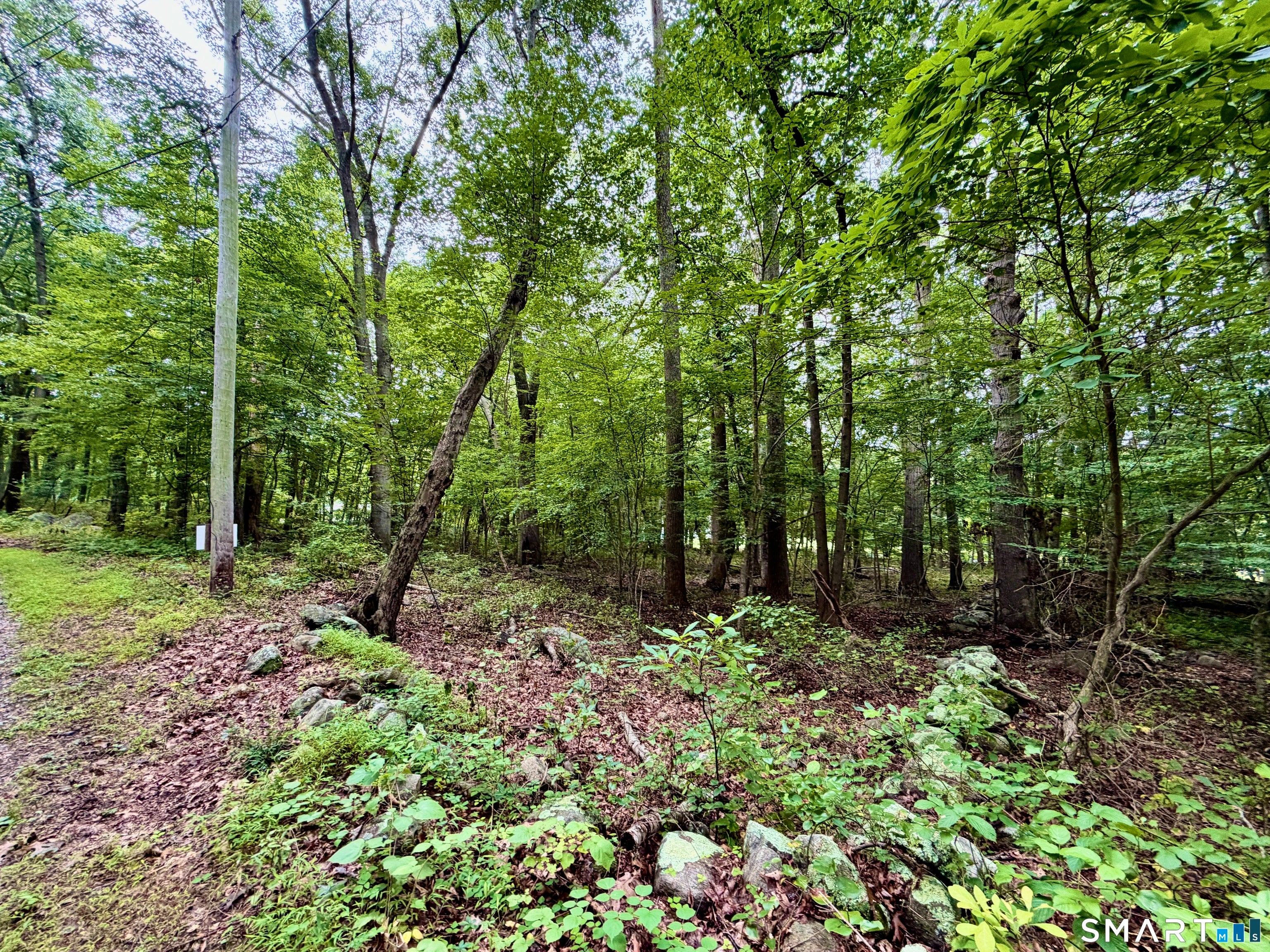 228-B Mile Creek Road