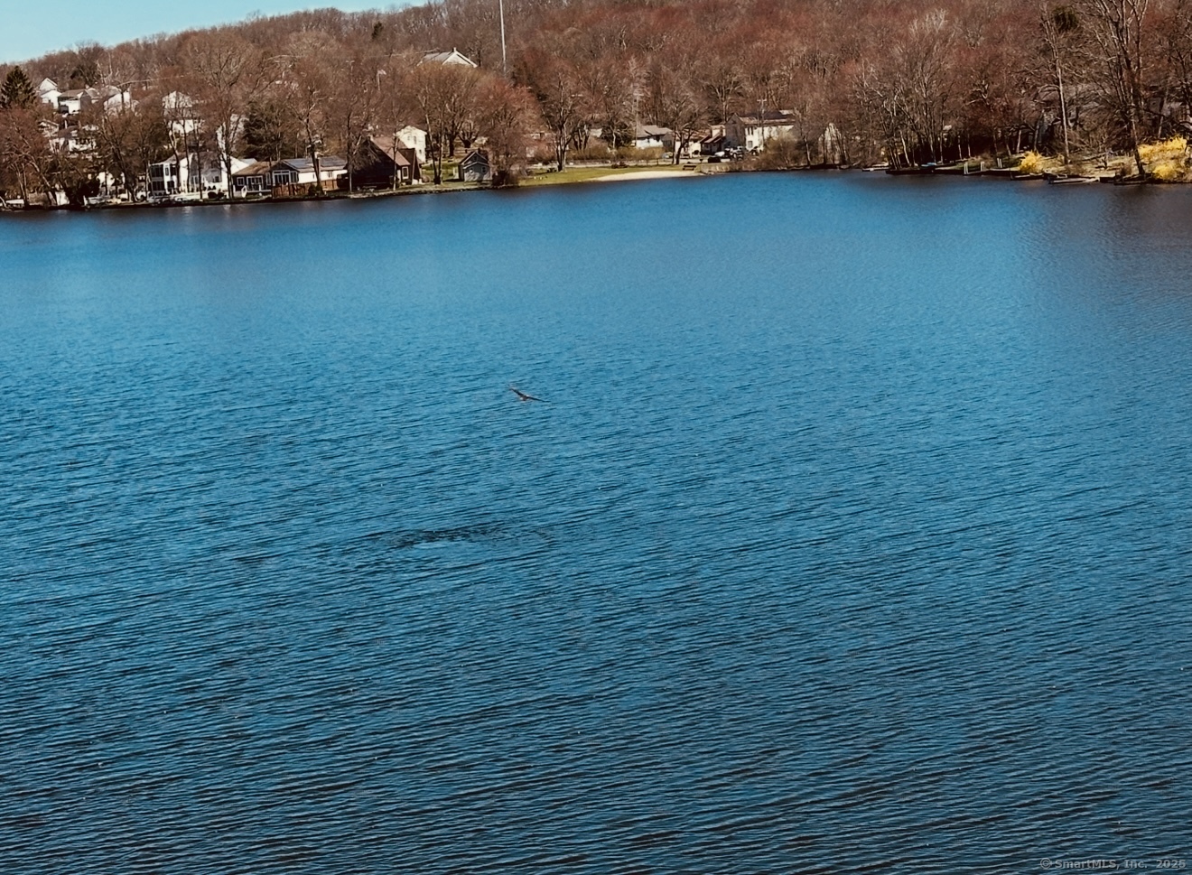 99 Fall Mountain Lake Road, Plymouth, Connecticut image 13