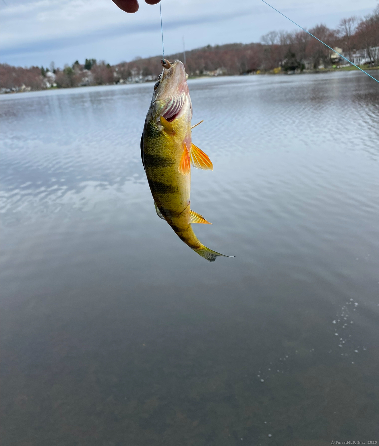 99 Fall Mountain Lake Road, Plymouth, Connecticut image 35