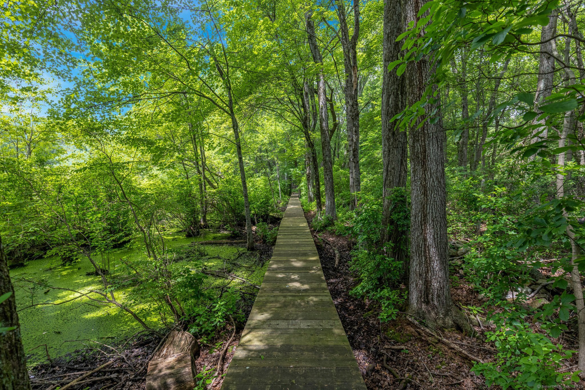 47 Chestnut Hill Road