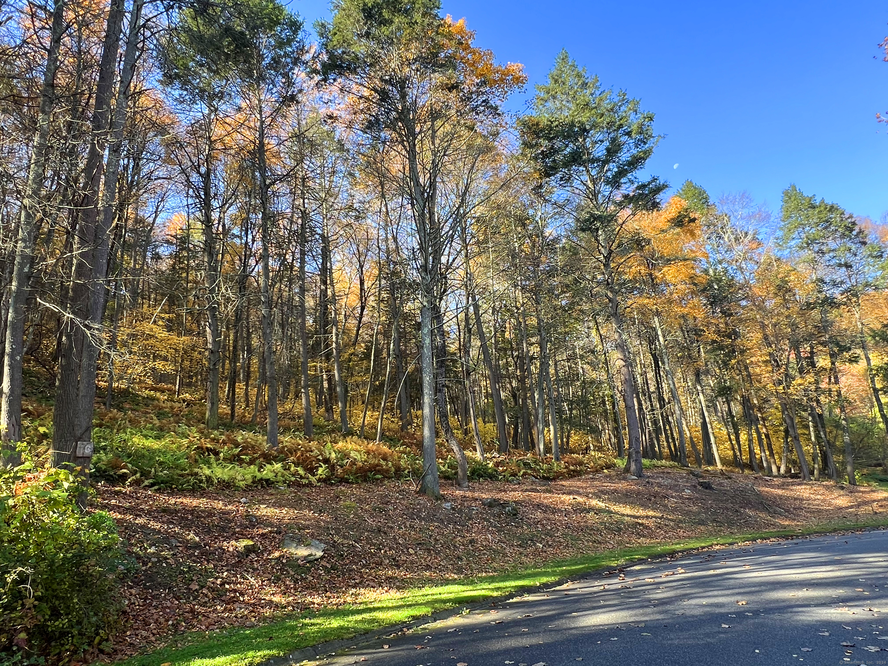LOT 30 Long River Road