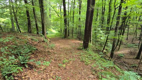 Tiny photo for 189 West Avon Road, Avon, CT 06001 (MLS # 24169490)