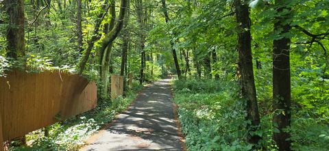 Tiny photo for 189 West Avon Road, Avon, CT 06001 (MLS # 24169490)