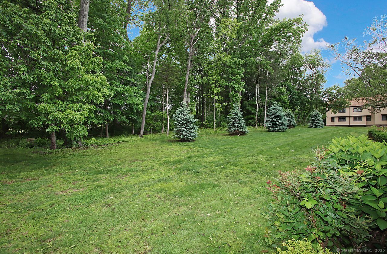 198 Mattabasset Drive #198, Meriden, Connecticut image 21