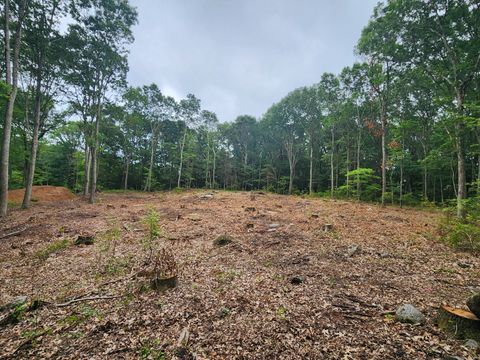 Vacant Land For Sale - 262 Route 81<br/> Killingworth, CT 06419