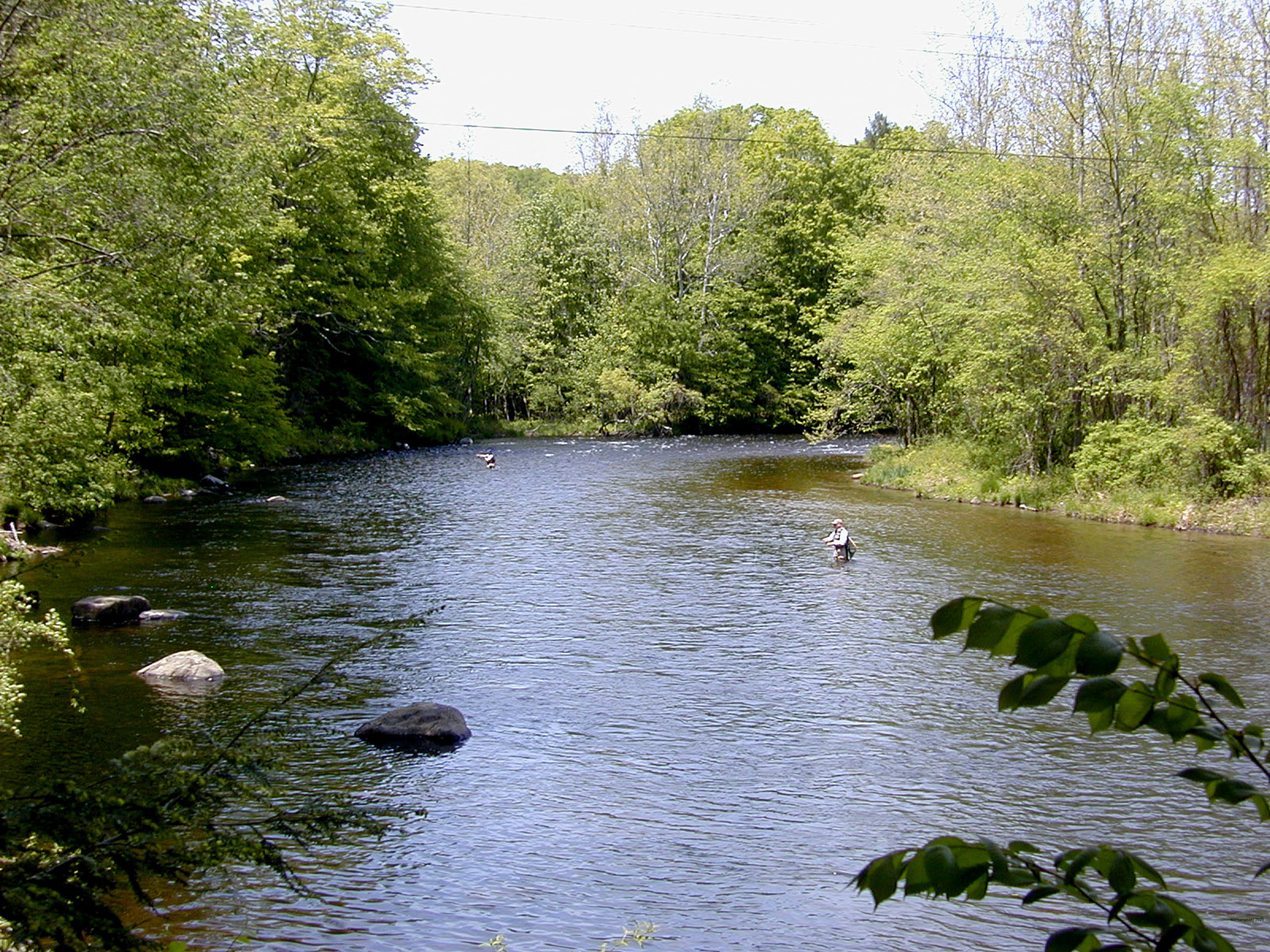 Simsbury, Connecticut 06081, United States, 2 Bedrooms Bedrooms, ,1 BathroomBathrooms,Residential,Coming Soon,238288