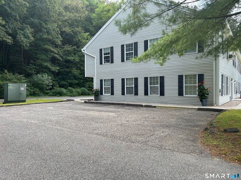 Tiny photo for 219 Kent Road, New Milford, CT 06776 (MLS # 24153283)