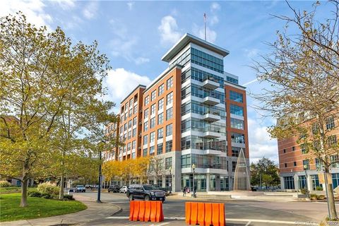 33 North Water Street 607 Norwalk CT 06854