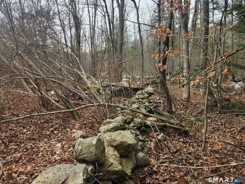 Tiny photo for Lyon Hill Road, Woodstock, CT 06281 (MLS # 24150186)