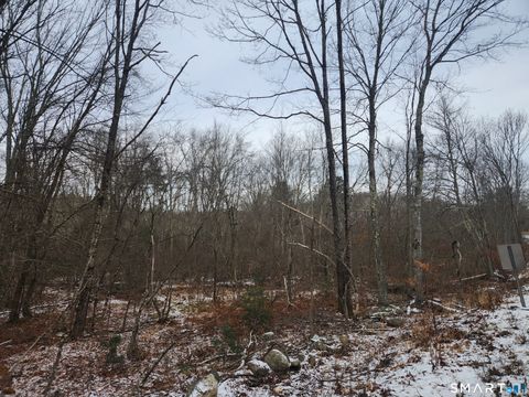 Tiny photo for Lyon Hill Road, Woodstock, CT 06281 (MLS # 24150186)