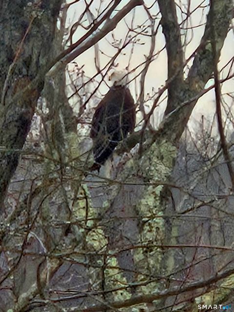 Tiny photo for 241 S Water Street #11, East Windsor, CT 06088 (MLS # 24152916)