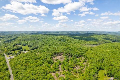 Tiny photo for 13 Dew Road, Barkhamsted, CT 06063 (MLS # 24162866)