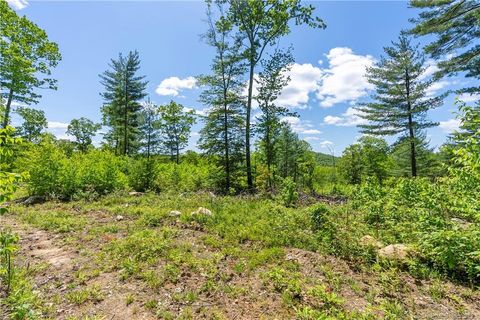 Tiny photo for 13 Dew Road, Barkhamsted, CT 06063 (MLS # 24162866)