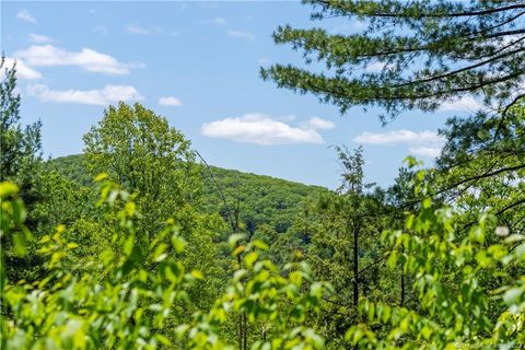Tiny photo for 13 Dew Road, Barkhamsted, CT 06063 (MLS # 24162866)