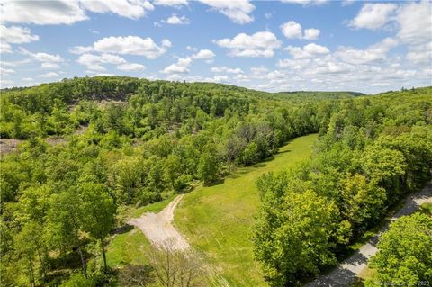 Tiny photo for 13 Dew Road, Barkhamsted, CT 06063 (MLS # 24162866)