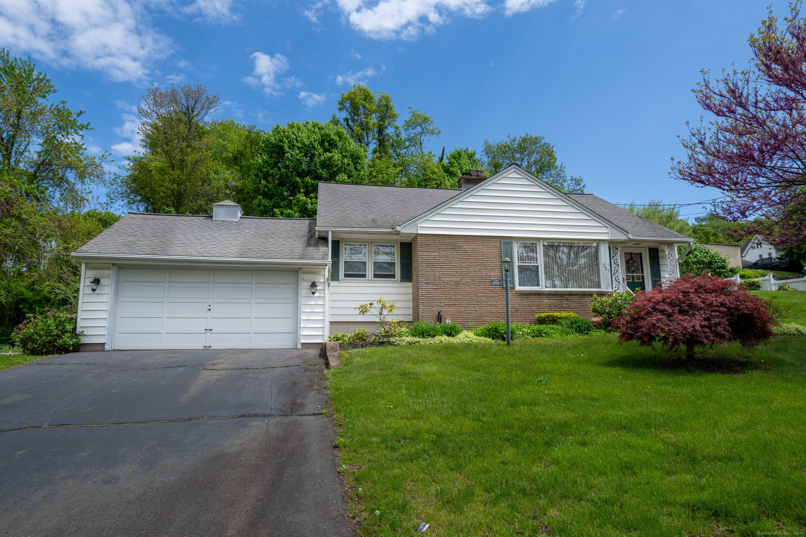 205 Elaine Terrace, New Haven, Connecticut image 2