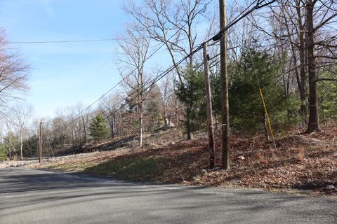 Vacant Land For Sale - 190 Blueberry Hill Road<br/> Bridgewater, CT 06752