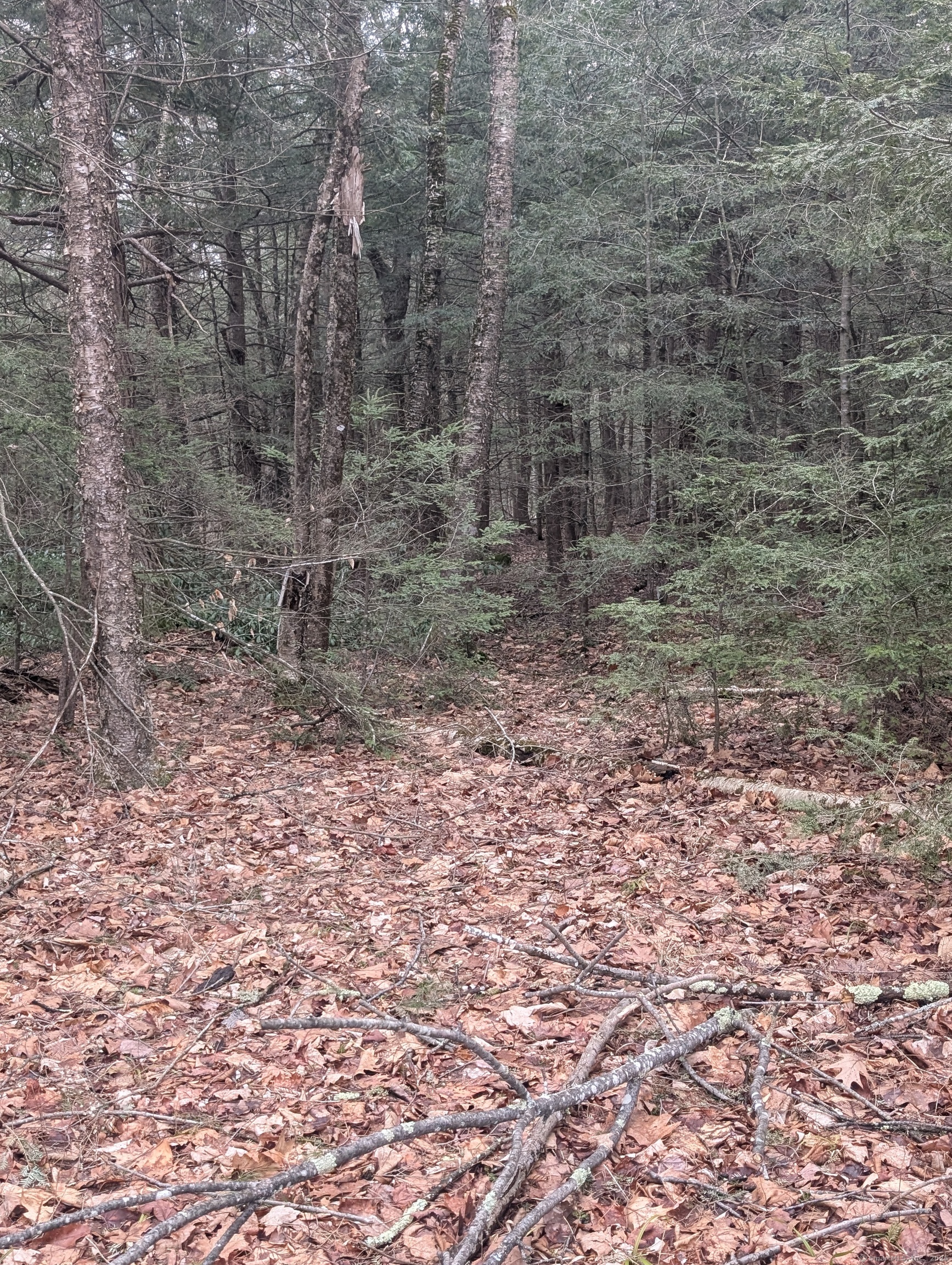 00 Fritz Road, Colebrook, Connecticut image 5