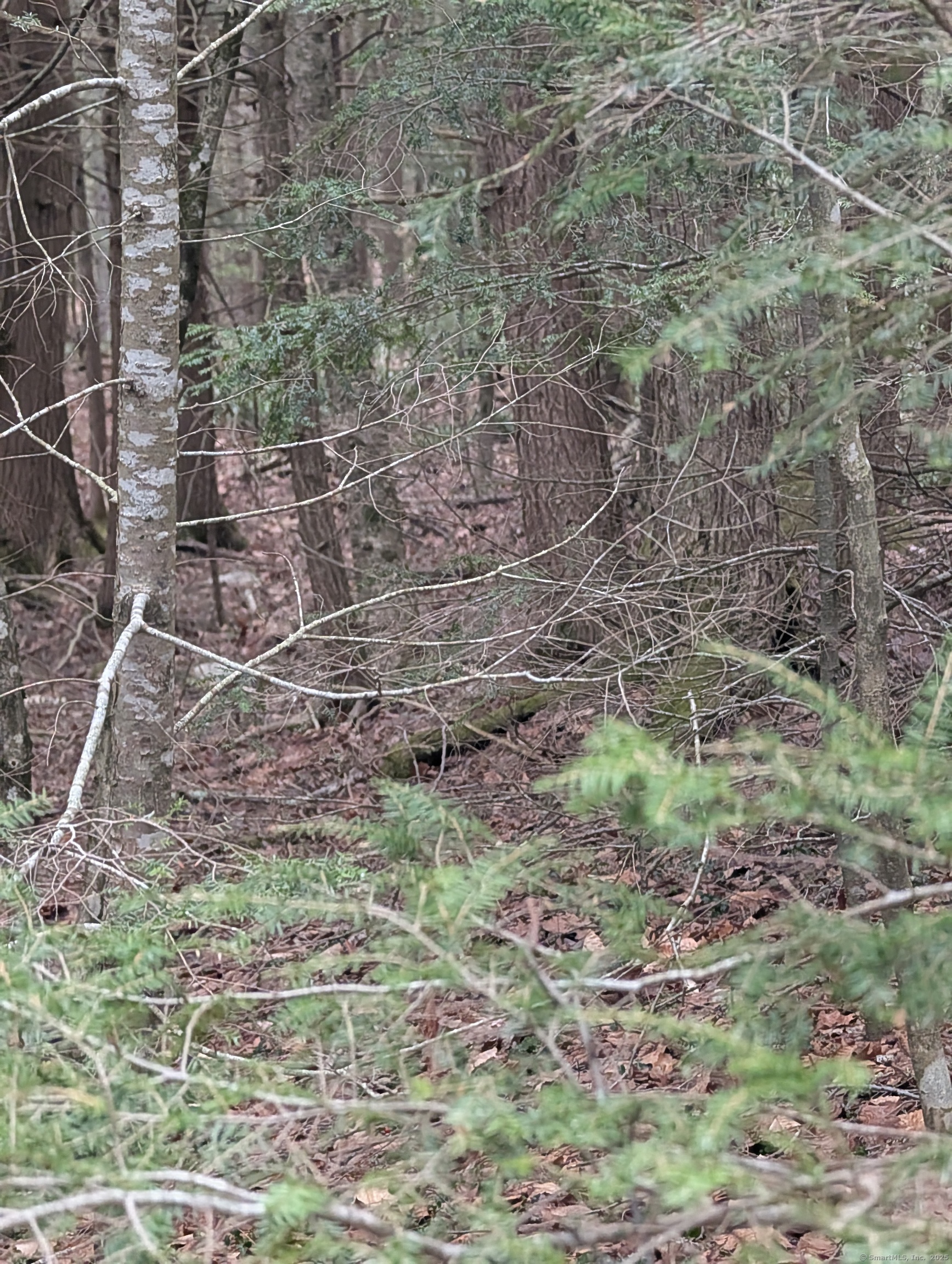 00 Fritz Road, Colebrook, Connecticut image 10