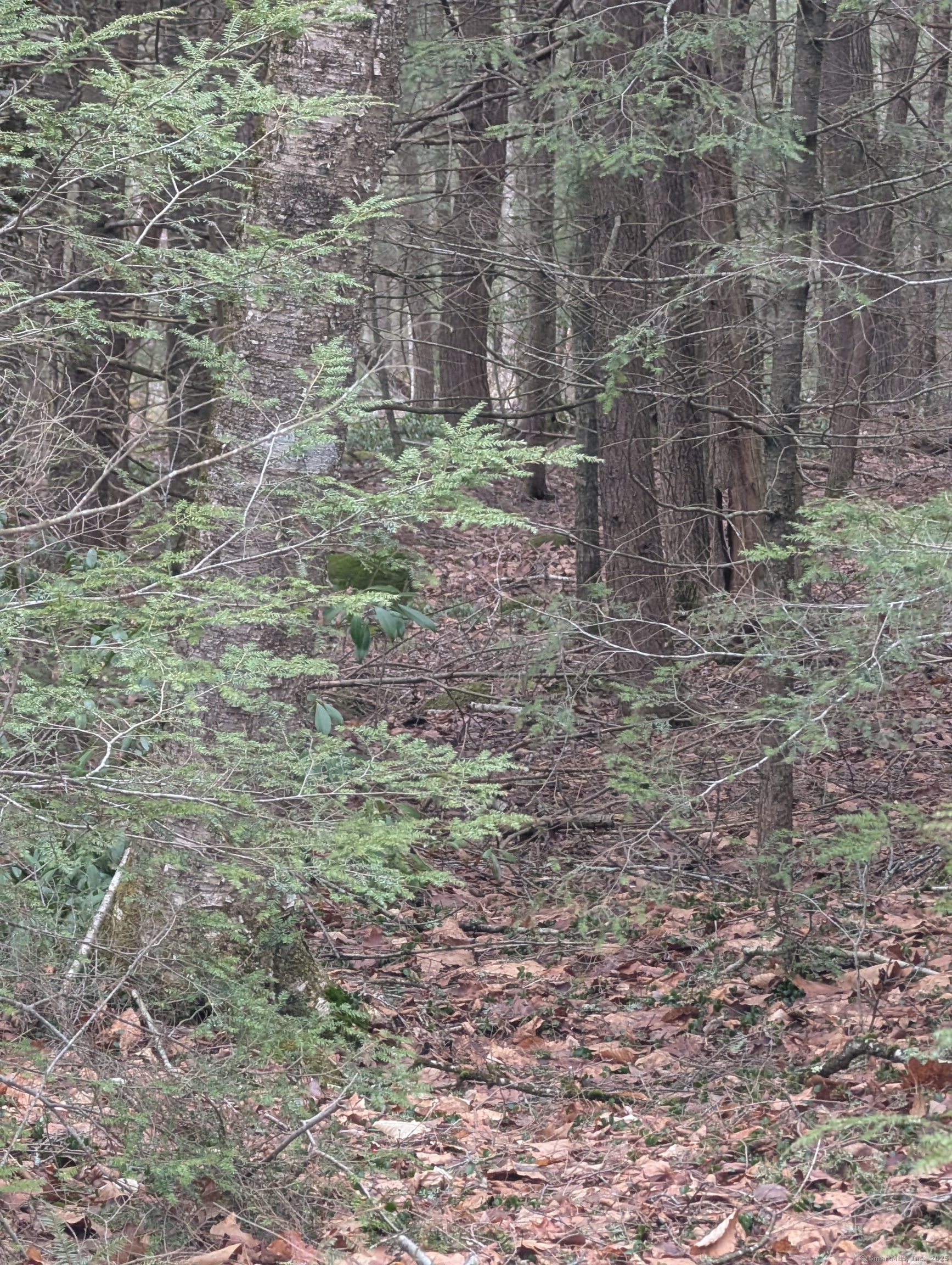 00 Fritz Road, Colebrook, Connecticut image 6