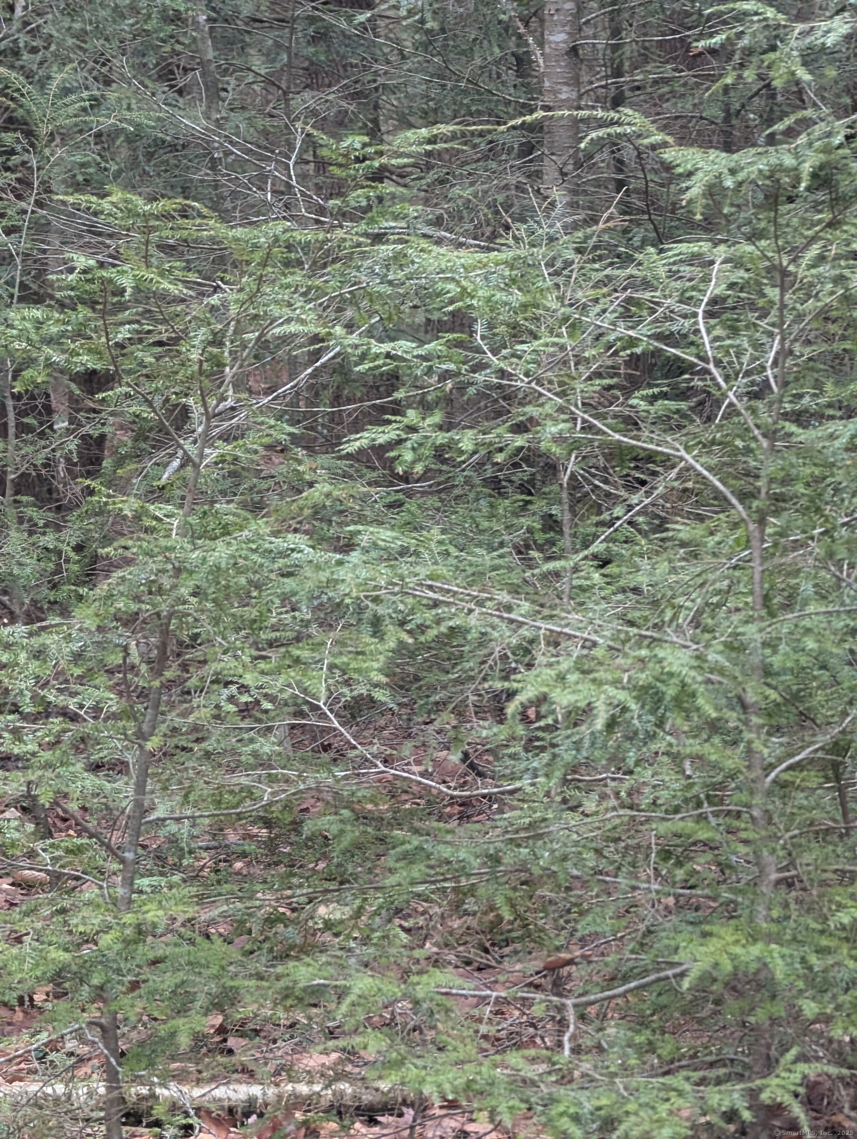 00 Fritz Road, Colebrook, Connecticut image 7