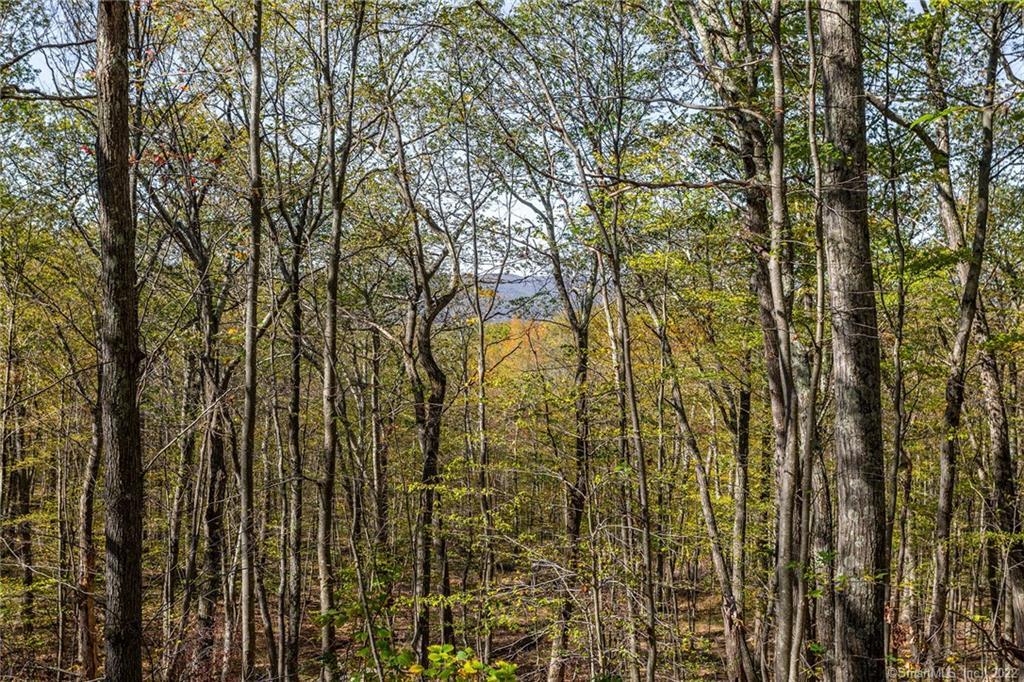 15 Caray Hill Road, Sharon, Connecticut image 14