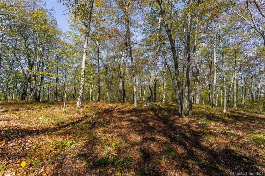 15 Caray Hill Road, Sharon, Connecticut image 21
