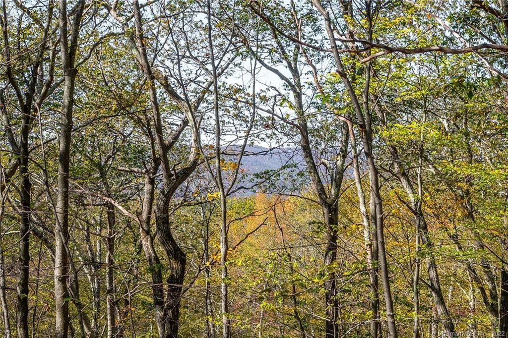 15 Caray Hill Road, Sharon, Connecticut image 15