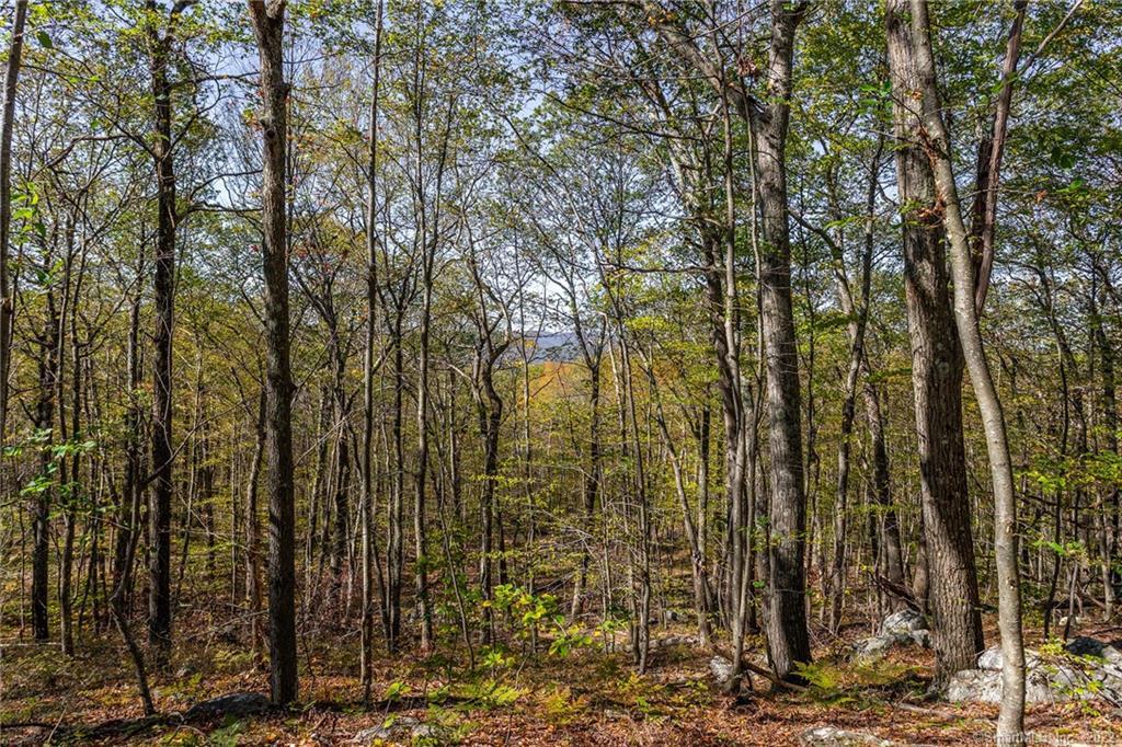 15 Caray Hill Road, Sharon, Connecticut image 12
