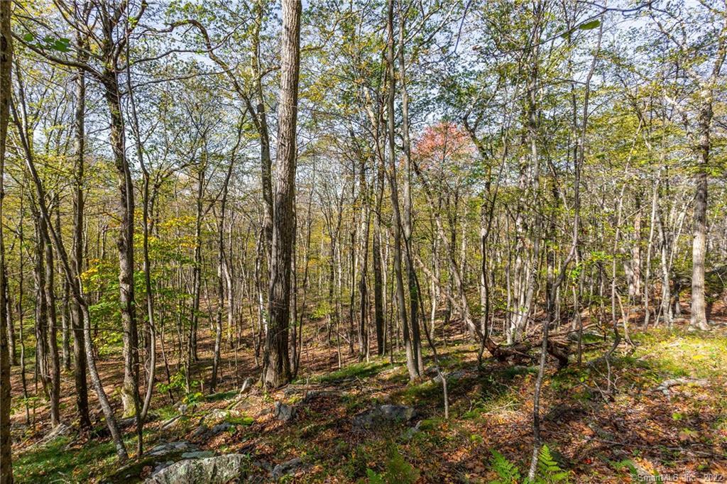 15 Caray Hill Road, Sharon, Connecticut image 23