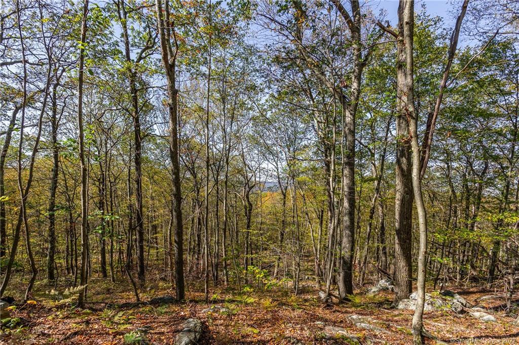 15 Caray Hill Road, Sharon, Connecticut image 13