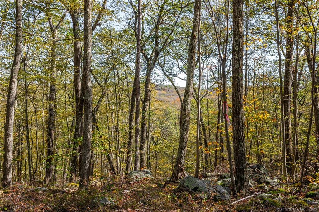15 Caray Hill Road, Sharon, Connecticut image 18