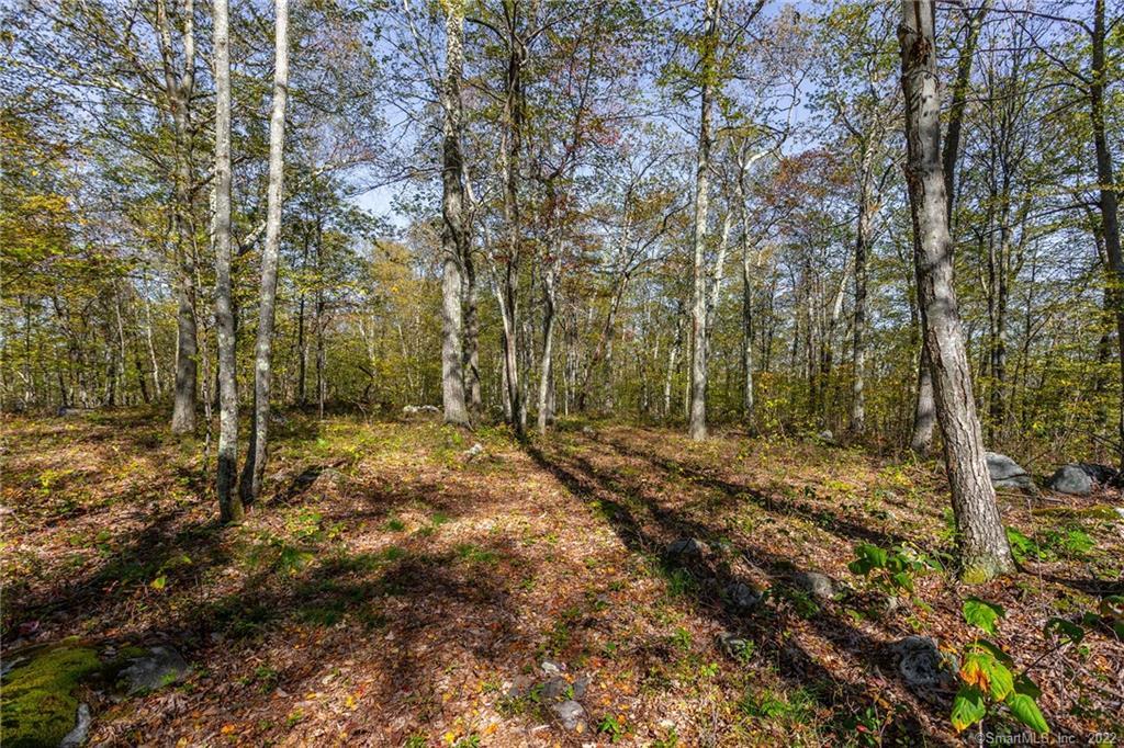 15 Caray Hill Road, Sharon, Connecticut image 17
