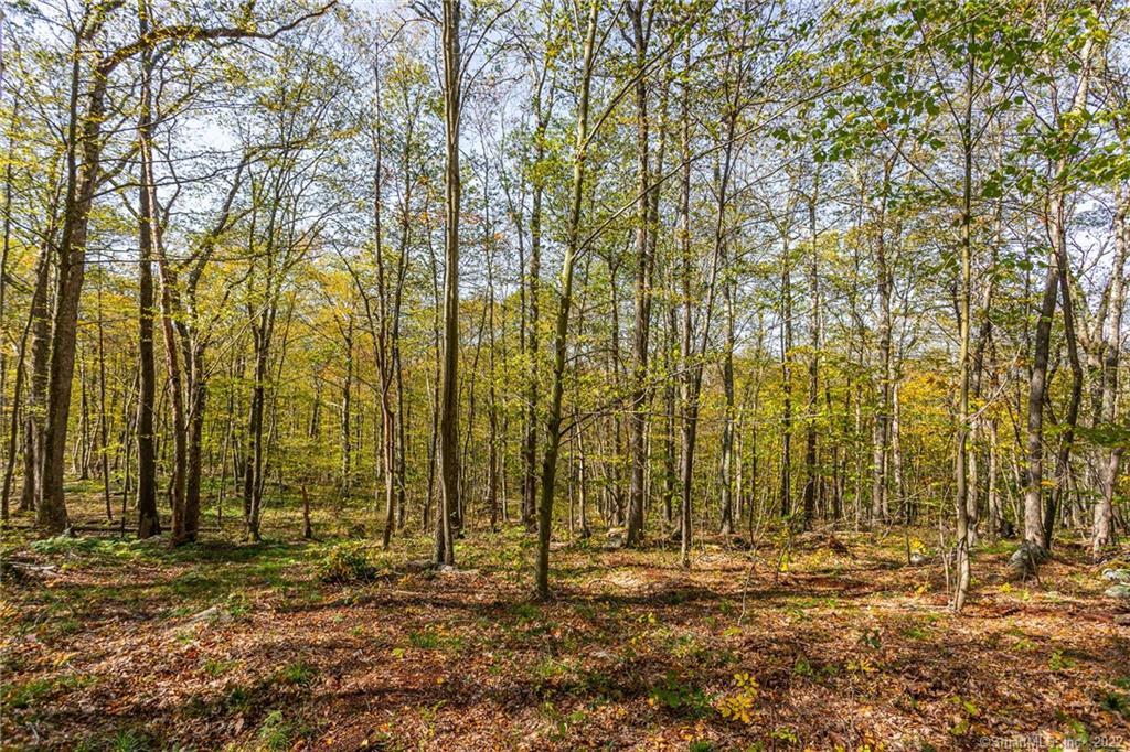15 Caray Hill Road, Sharon, Connecticut image 22