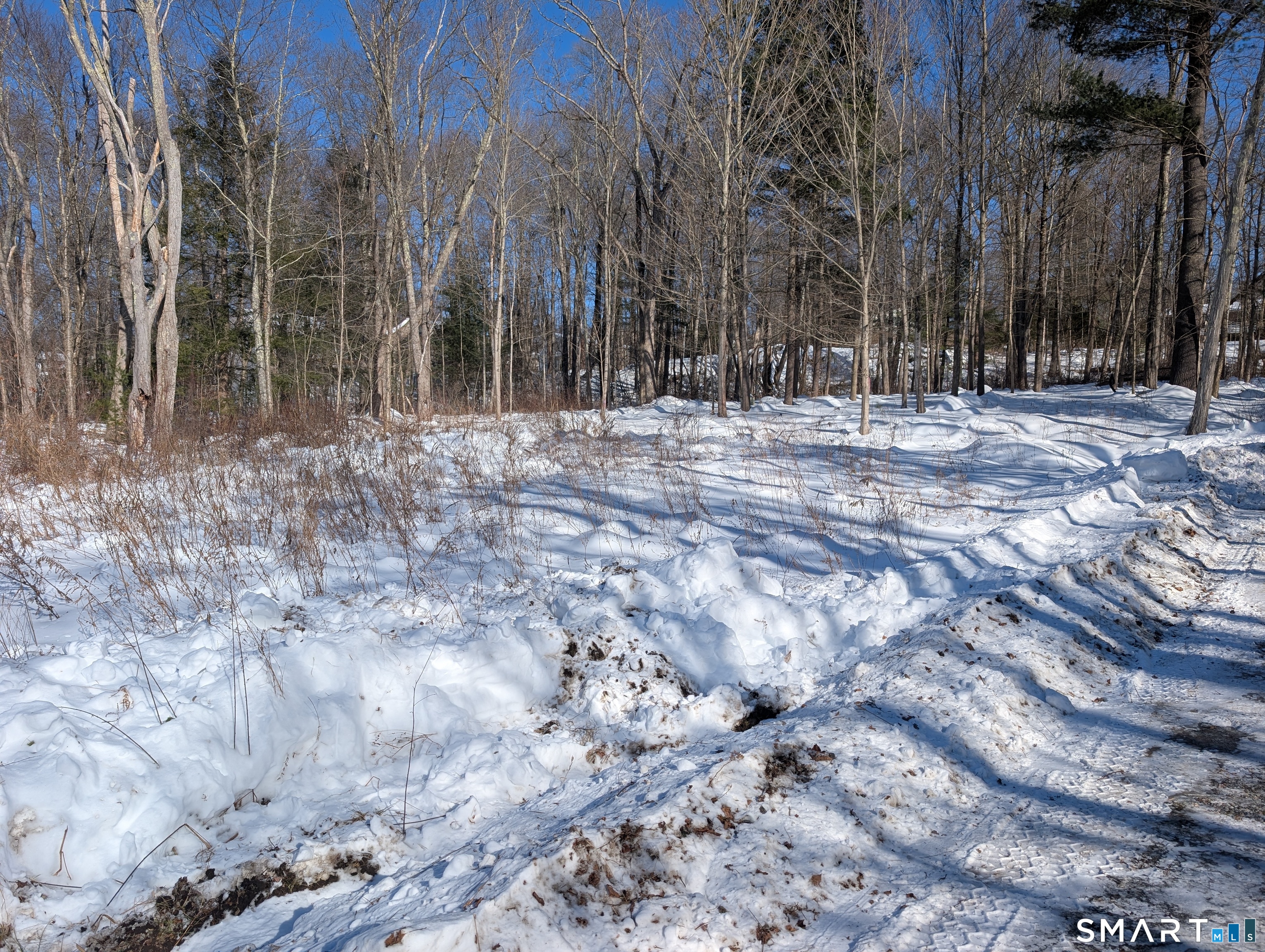 660 Torringford Street