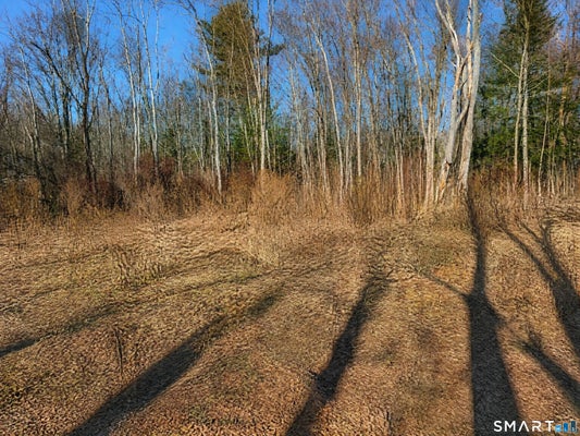 660 TORRINGFORD ST, TORRINGTON, CT 06790 - Image f0bb0a1ee612b504dd1e4e50ed08f1d7/3965151041