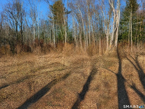 Vacant Land For Sale - 660 Torringford Street<br/> Torrington, CT 06790